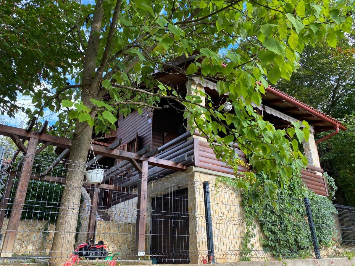 4Trees Holiday House สลูน ภายนอก รูปภาพ